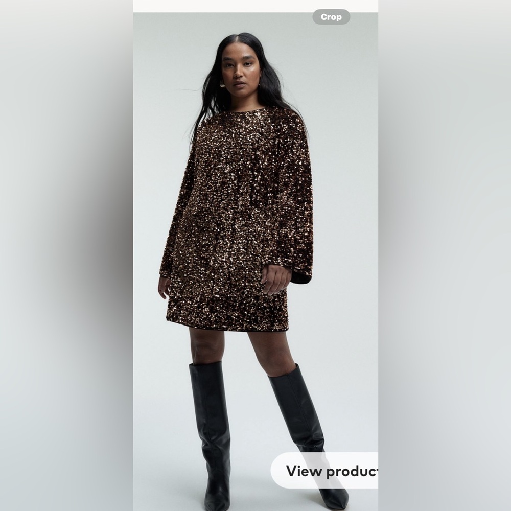 H&M Long Sleeve Sequin Dress - Black and Brown